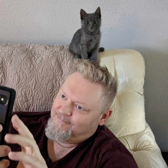 Gustav Klimt The Kiss styled black & white cats, unframed canvas print - Picture 2 of 4